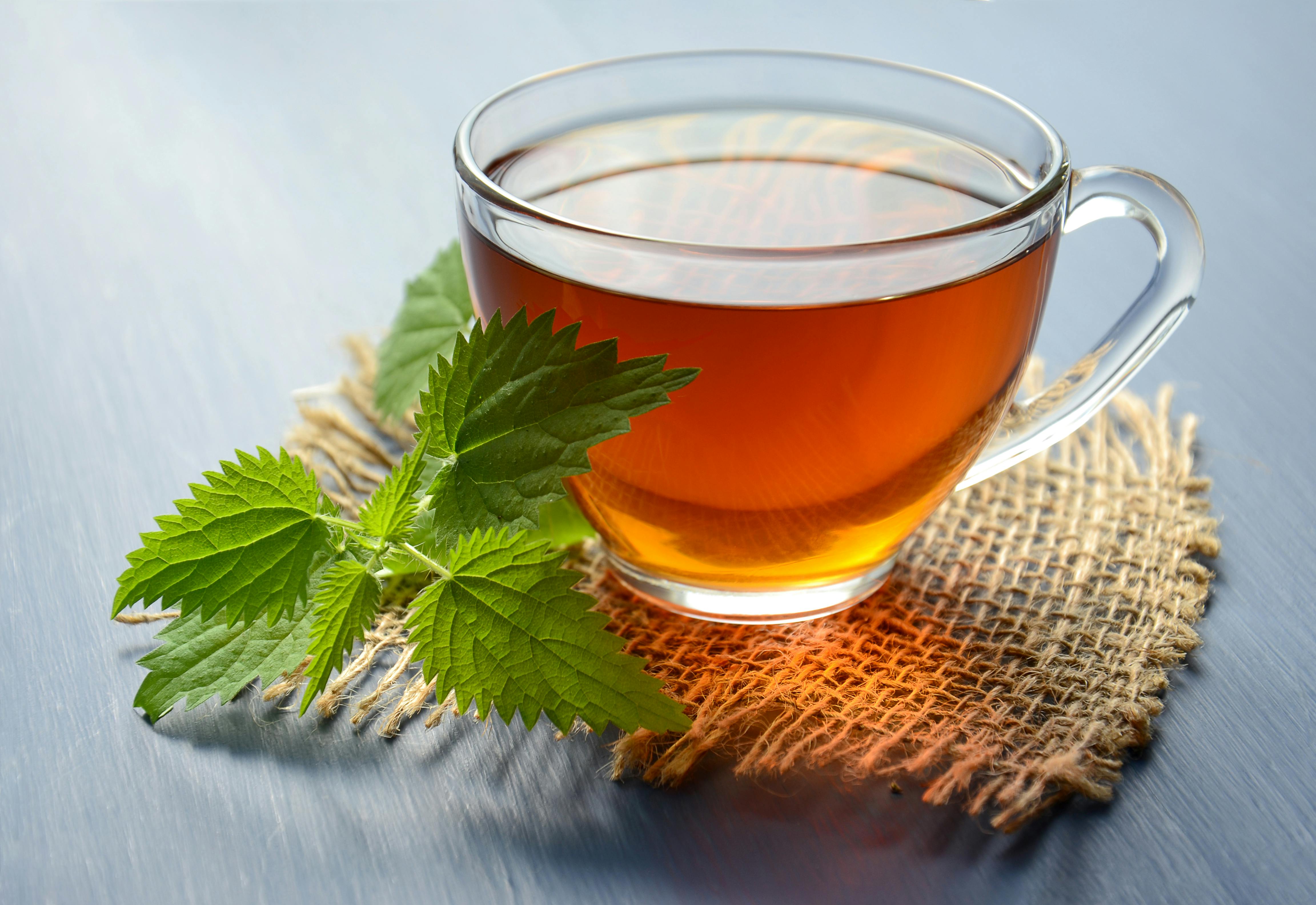 Chá de Menta Especial
